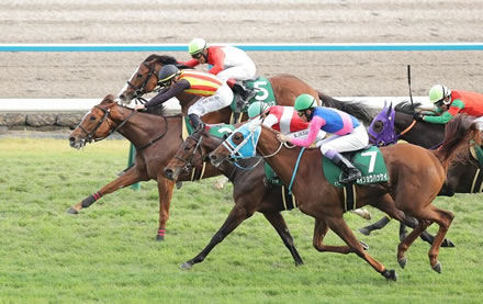 また2歳馬離脱　フェスティバルヒル剥離骨折