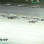 【競馬】JBCクラシックはルメール騎乗のミッキーファイトがV