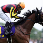 【訃報】ジェンティルドンナ死去