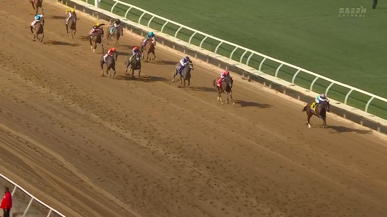 【ブリーダーズカップディスタフ2025】結果・動画/スキュラが圧勝