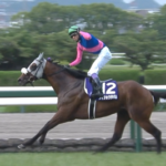 メイショウタバル次走は有馬記念に決定