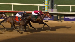 フォーエバーヤング来年も現役続行 矢作師が明言 次走サウジC→ドバイワールドC