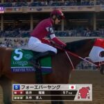 【BCクラシック】フォーエバーヤング＆坂井騎手がｷﾀ━━━━━━━━m9( ﾟ∀ﾟ)━━━━━━━━!!