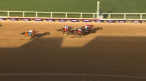 フィアースネス陣営がシエラレオーネ陣営批判