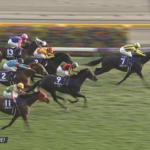 【天皇賞秋】シランケド上がり31秒7w w w w w