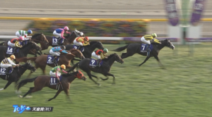 【天皇賞秋】シランケド上がり31秒7w w w w w