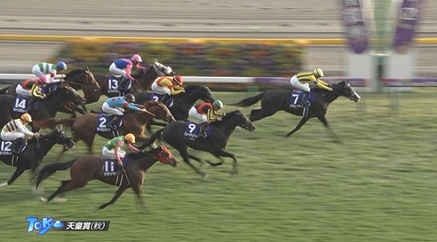 【天皇賞秋】シランケド上がり31秒7w w w w w