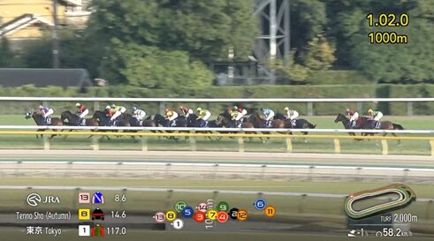 【天皇賞秋】マスカレードボール&ルメール騎手がキタ━━━━(゚∀゚)━━━━!!