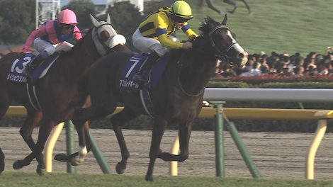 天皇賞馬マスカレードボールはジャパンＣへ