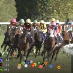 【天皇賞秋】メイショウタバル武豊騎手