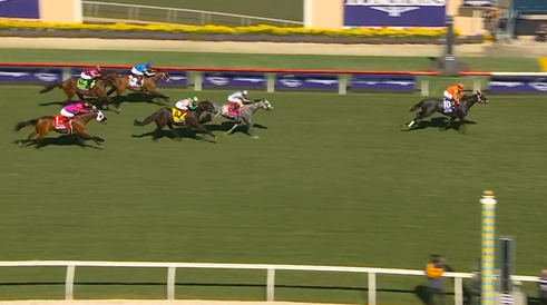 【BCターフスプリント】インビンシブルパパ6着