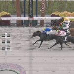 【もちの木賞】パイロマンサー&岩田望来騎手がキタ━━━━(゚∀゚)━━━━!!