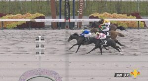 【もちの木賞】パイロマンサー&岩田望来騎手がキタ━━━━(゚∀゚)━━━━!!