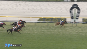 【京王杯2歳S】ダイヤモンドノット＆ルメール騎手がｷﾀ━━━━(ﾟ∀ﾟ)━━━━!!