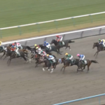 【みやこS】ダブルハートボンド&坂井騎手がキタ━━━━(゚∀゚)━━━━!!