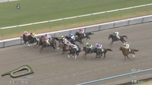 【みやこS】ダブルハートボンド&坂井騎手がキタ━━━━(゚∀゚)━━━━!!