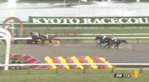 【みやこS】ダブルハートボンド強すぎワロタ