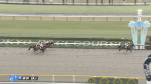 【オキザリス賞】サトノボヤージュ強すぎワロタw w w w w