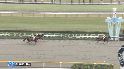 【オキザリス賞】サトノボヤージュ強すぎワロタw w w w w