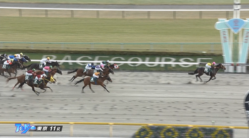 ルクソールカフェ強すぎワロアァ