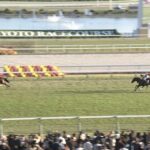 【デイリー杯2歳S】アドマイヤクワッズ&坂井騎手がキタ━━━━(゚∀゚)━━━━!!