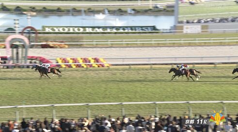 【デイリー杯2歳S】アドマイヤクワッズ&坂井騎手がキタ━━━━(゚∀゚)━━━━!!