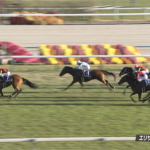 【エリザベス女王杯】6歳牝馬ライラック大健闘