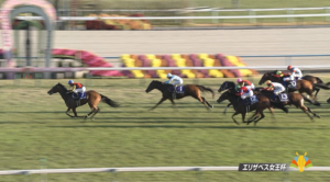 【エリザベス女王杯】6歳牝馬ライラック大健闘