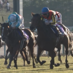 レガレイラ戸崎騎手のジョッキーカメラが安定して見やすかった件