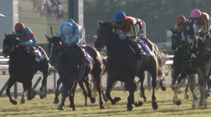 レガレイラ戸崎騎手のジョッキーカメラが安定して見やすかった件