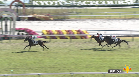 【日曜京都5R新馬戦】アクセス＆北村友一騎手がｷﾀ━━━━(ﾟ∀ﾟ)━━━━!!