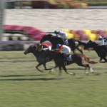 【黄菊賞】ノチェセラーダ＆Cデムーロ騎手がｷﾀ━━━━(ﾟ∀ﾟ)━━━━!!