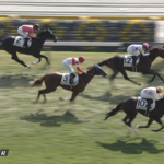 【日曜東京5R新馬戦】マテンロウネイビー＆横山典弘騎手がｷﾀ━━━━(ﾟ∀ﾟ)━━━━!!