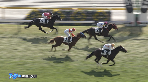 【日曜東京5R新馬戦】マテンロウネイビー＆横山典弘騎手がｷﾀ━━━━(ﾟ∀ﾟ)━━━━!!