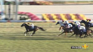 マイルチャンピオンシップ反省会