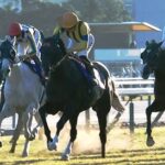 ジャンタルマンタルは顕彰馬に届くか