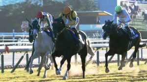 ジャンタルマンタルは顕彰馬に届くか