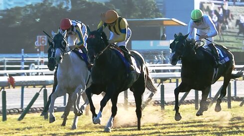 【マイルCS】ジャンタルマンタル強すぎワロタw w w w w