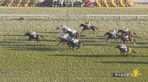 【マイルCS】ソウルラッシュさん６着