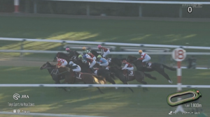 【東スポ２歳S】パントルナイーフ＆ルメール騎手がｷﾀ━━━━(ﾟ∀ﾟ)━━━━!!