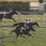 【東スポ２歳S】パントルナイーフ１着