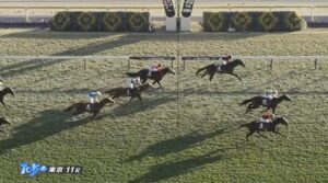 【東スポ２歳S】テルヒコウ4着