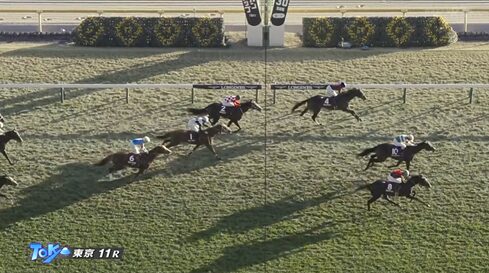 【東スポ2歳S】テルヒコウ4着