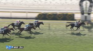 6億馬 エムズビギン祝勝会場！！！