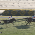 【南武特別】アロンズロッドさん