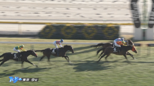 【南武特別】アロンズロッドさん