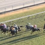 【京都2歳S】ジャスティンビスタ＆北村友一騎手がｷﾀ━━━━(ﾟ∀ﾟ)━━━━!!