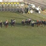 【ジャパンC】カランダガン&M.バルザローナ騎手がキタ━━━━(゚∀゚)━━━━!!