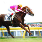 ミホノブルボンが坂路で鍛えて強くなったという伝説は本当か？