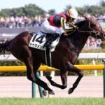 トウカイテイオーとドゥラメンテってどっちが三冠に近かったと思う？